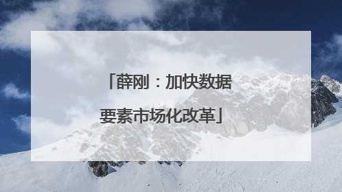 薛刚：加快数据要素市场化改革