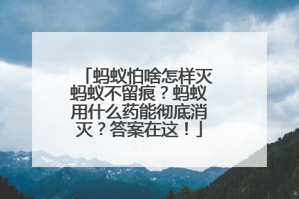 蚂蚁怕啥怎样灭蚂蚁不留痕？蚂蚁用什么药能彻底消灭？答案在这！