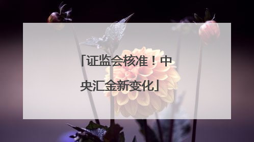 证监会核准！中央汇金新变化