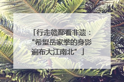 行走赣鄱看非遗：“希望岳家拳的身影遍布大江南北”