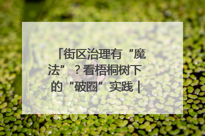 街区治理有“魔法”？看梧桐树下的“破圈”实践｜我在街区当书记