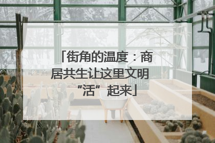街角的温度：商居共生让这里文明“活”起来