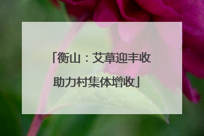 衡山：艾草迎丰收 助力村集体增收