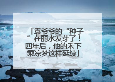 袁爷爷的“种子”在丽水发芽了！四年后，他的禾下乘凉梦这样延续
