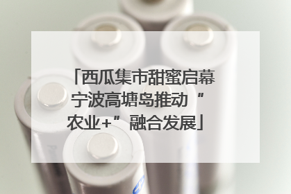 西瓜集市甜蜜启幕 宁波高塘岛推动“农业+”融合发展