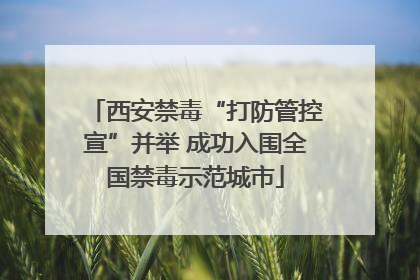 西安禁毒“打防管控宣”并举 成功入围全国禁毒示范城市