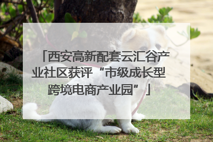 西安高新配套云汇谷产业社区获评“市级成长型跨境电商产业园”