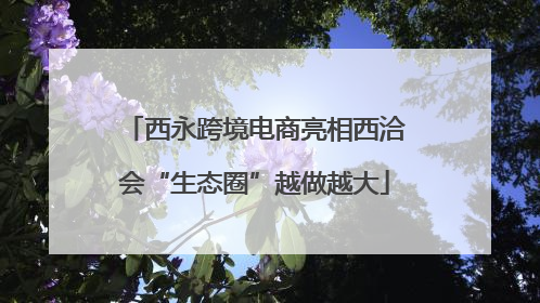 西永跨境电商亮相西洽会“生态圈”越做越大