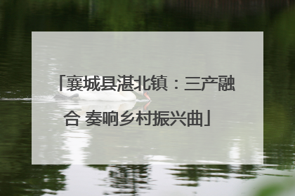 襄城县湛北镇：三产融合 奏响乡村振兴曲
