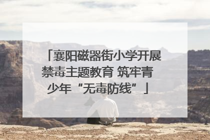 襄阳磁器街小学开展禁毒主题教育 筑牢青少年“无毒防线”
