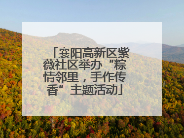 襄阳高新区紫薇社区举办“粽情邻里，手作传香”主题活动