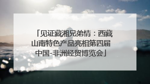 见证藏湘兄弟情：西藏山南特色产品亮相第四届中国-非洲经贸博览会