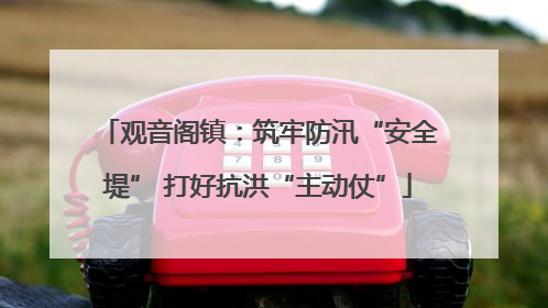 观音阁镇：筑牢防汛“安全堤” 打好抗洪“主动仗”