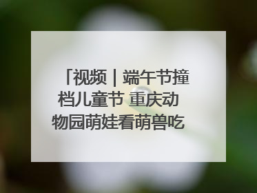 视频｜端午节撞档儿童节 重庆动物园萌娃看萌兽吃特色粽子大餐