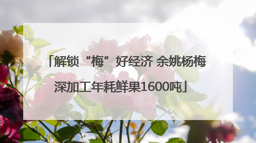 解锁“梅”好经济 余姚杨梅深加工年耗鲜果1600吨