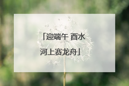 迎端午 酉水河上赛龙舟