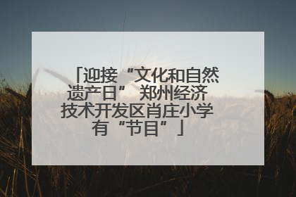 迎接“文化和自然遗产日” 郑州经济技术开发区肖庄小学有“节目”