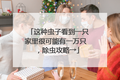 这种虫子看到一只家里很可能有一万只，除虫攻略→