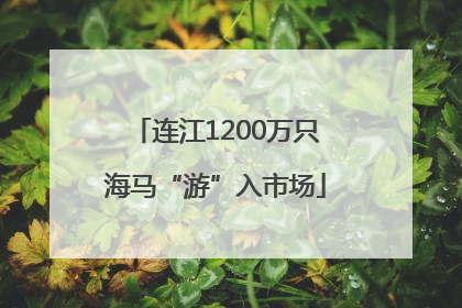 连江1200万只海马“游”入市场