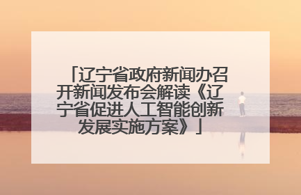 辽宁省政府新闻办召开新闻发布会解读《辽宁省促进人工智能创新发展实施方案》
