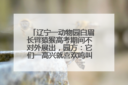 辽宁一动物园白眉长臂猿猴高考期间不对外展出，园方：它们一高兴就喜欢鸣叫，怕影响考试
