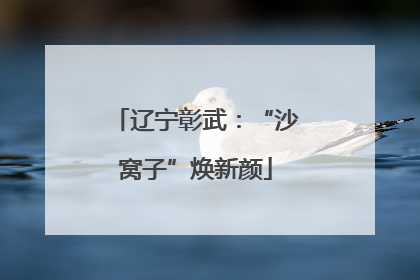辽宁彰武：“沙窝子”焕新颜