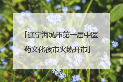 辽宁海城市第一届中医药文化夜市火热开市