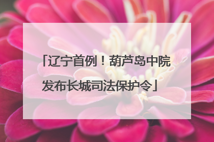 辽宁首例！葫芦岛中院发布长城司法保护令