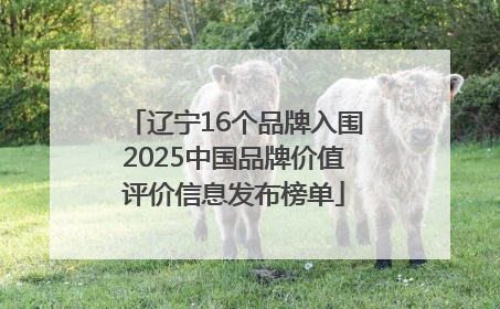 辽宁16个品牌入围2025中国品牌价值评价信息发布榜单