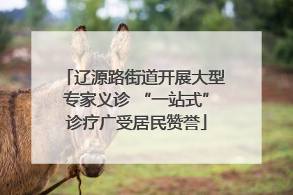 辽源路街道开展大型专家义诊 “一站式”诊疗广受居民赞誉