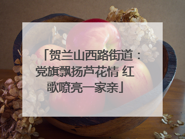 贺兰山西路街道：党旗飘扬芦花情 红歌嘹亮一家亲