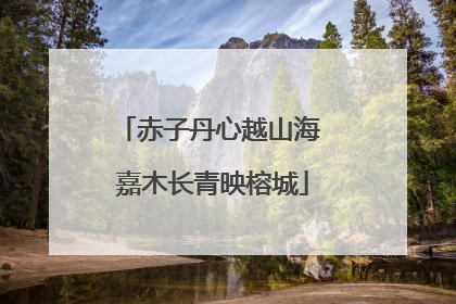 赤子丹心越山海 嘉木长青映榕城