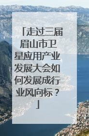 走过三届 眉山市卫星应用产业发展大会如何发展成行业风向标？