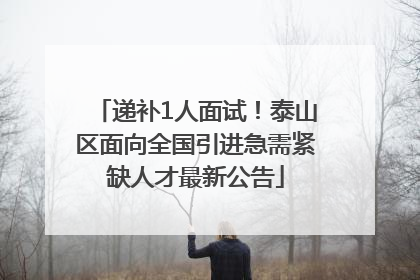 递补1人面试！泰山区面向全国引进急需紧缺人才最新公告