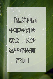逛第四届中非经贸博览会，长沙这些路段有管制