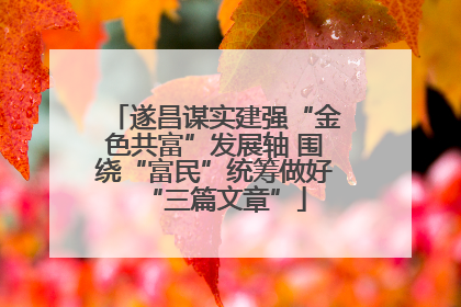 遂昌谋实建强“金色共富”发展轴 围绕“富民”统筹做好“三篇文章”