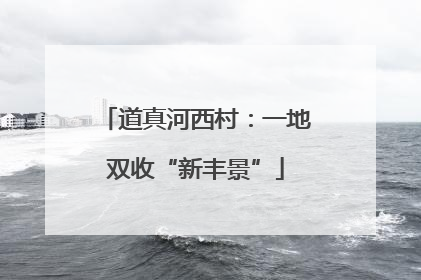 道真河西村：一地双收“新丰景”