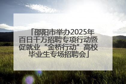 邵阳市举办2025年百日千万招聘专项行动暨促就业“金桥行动”高校毕业生专场招聘会
