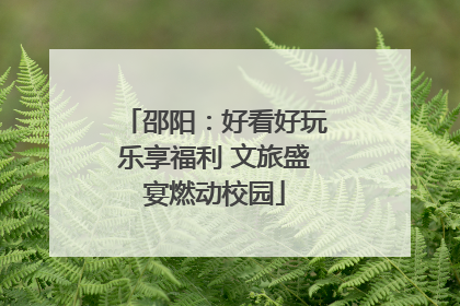 邵阳：好看好玩乐享福利 文旅盛宴燃动校园