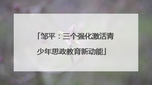 邹平：三个强化激活青少年思政教育新动能