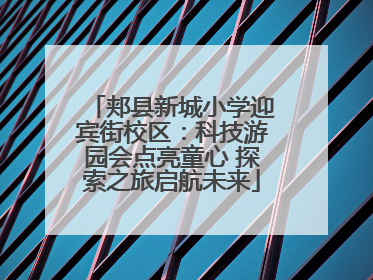郏县新城小学迎宾街校区：科技游园会点亮童心 探索之旅启航未来