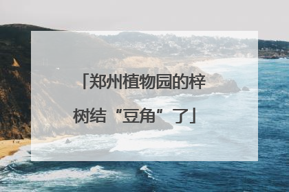 郑州植物园的梓树结“豆角”了