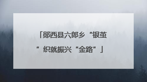 郧西县六郎乡“银茧”织就振兴“金路”