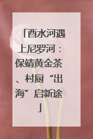 酉水河遇上尼罗河：保靖黄金茶、村厨“出海”启新途