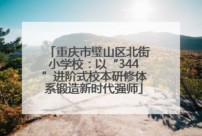 重庆市璧山区北街小学校：以“344”进阶式校本研修体系锻造新时代强师