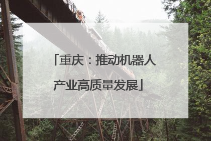 重庆：推动机器人产业高质量发展