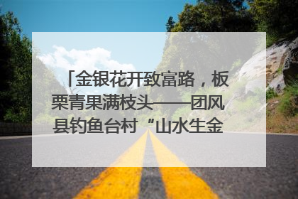 金银花开致富路，板栗青果满枝头——团风县钓鱼台村“山水生金”谱写共富新篇章