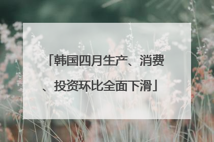 韩国四月生产、消费、投资环比全面下滑