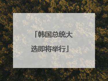 韩国总统大选即将举行