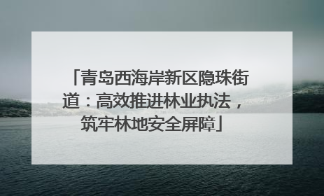 青岛西海岸新区隐珠街道：高效推进林业执法，筑牢林地安全屏障